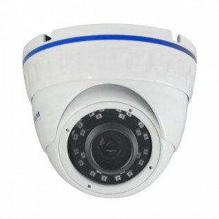 Камера видеонаблюдения IP антивандальная 2.0 AltCam IDMV24IR